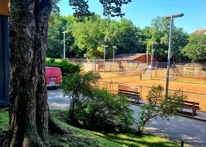Tenis Cibulka