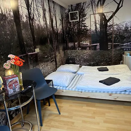 Tenis Cibulka 3*